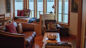 Een televisie, een open haard, een dvd-speler en boeken