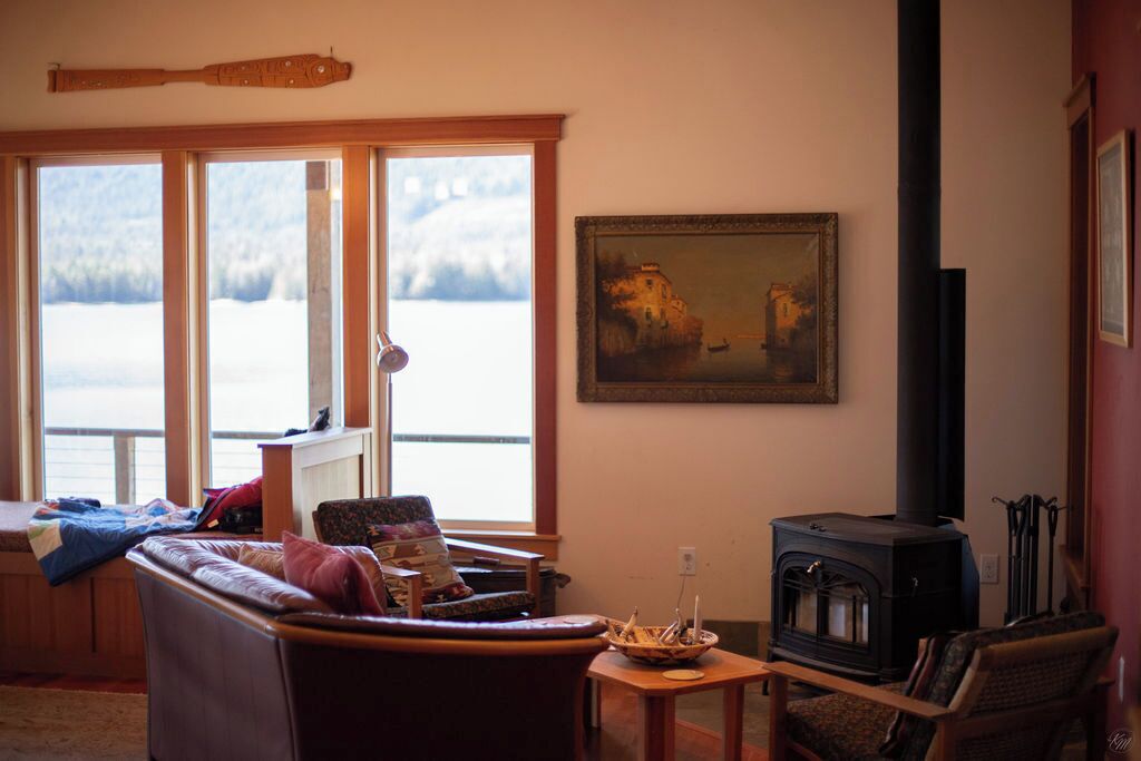 Een televisie, een open haard, een dvd-speler en boeken