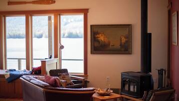 Een televisie, een open haard, een dvd-speler en boeken