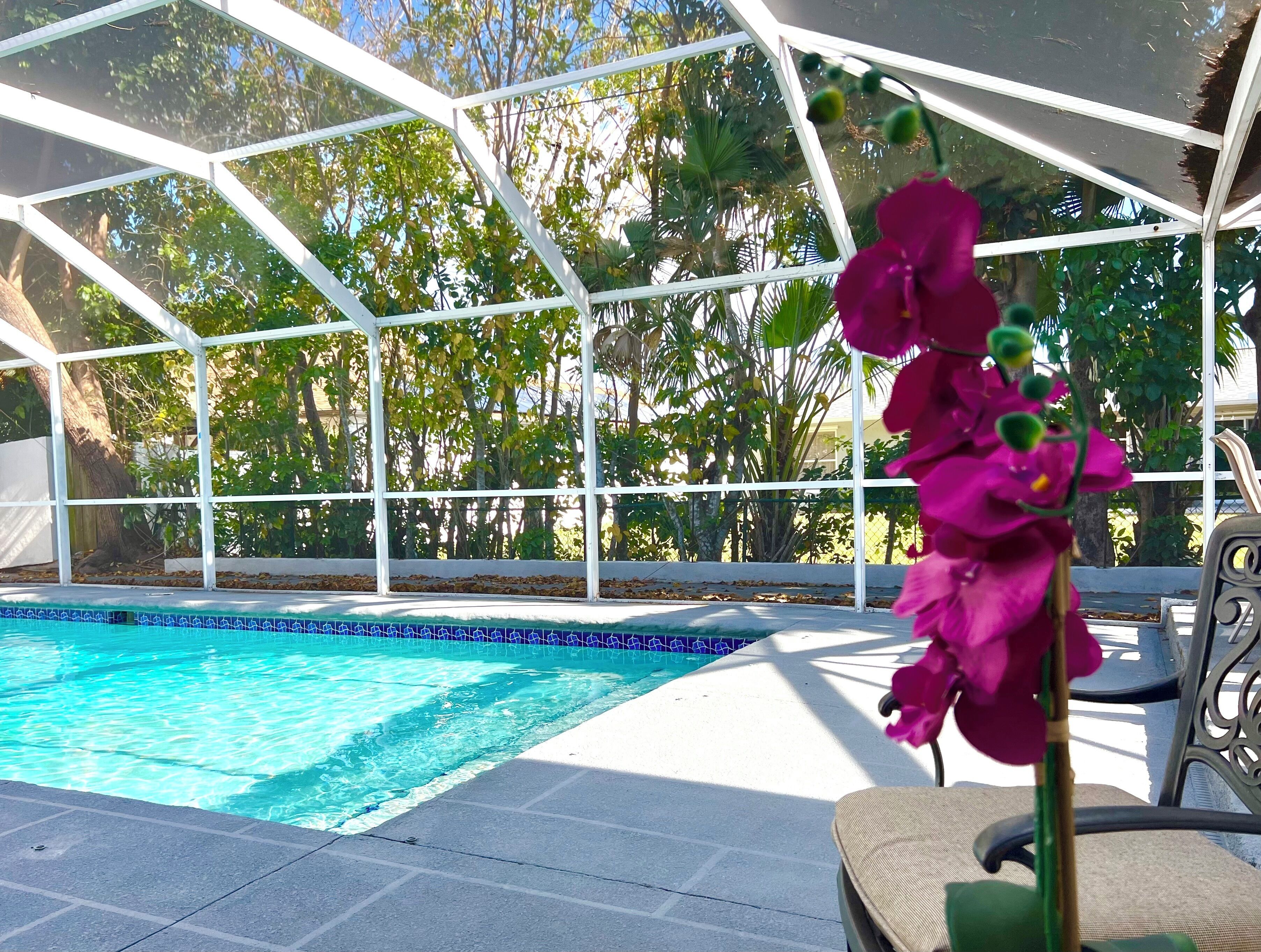 North Naples getaway w/ Heated Pool. Pet friendly!