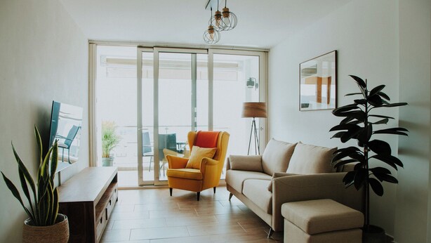 Un salon moderne avec un canapé, un fauteuil et une grande plante en pot.