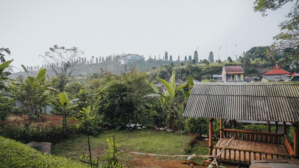 Paisaje rural con una estructura de bambú, una pequeña casa de techo rojo y abundante vegetación.