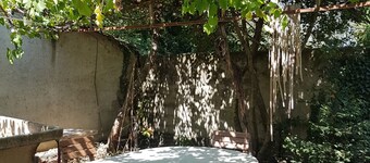 Town house with covered terrace and large garden