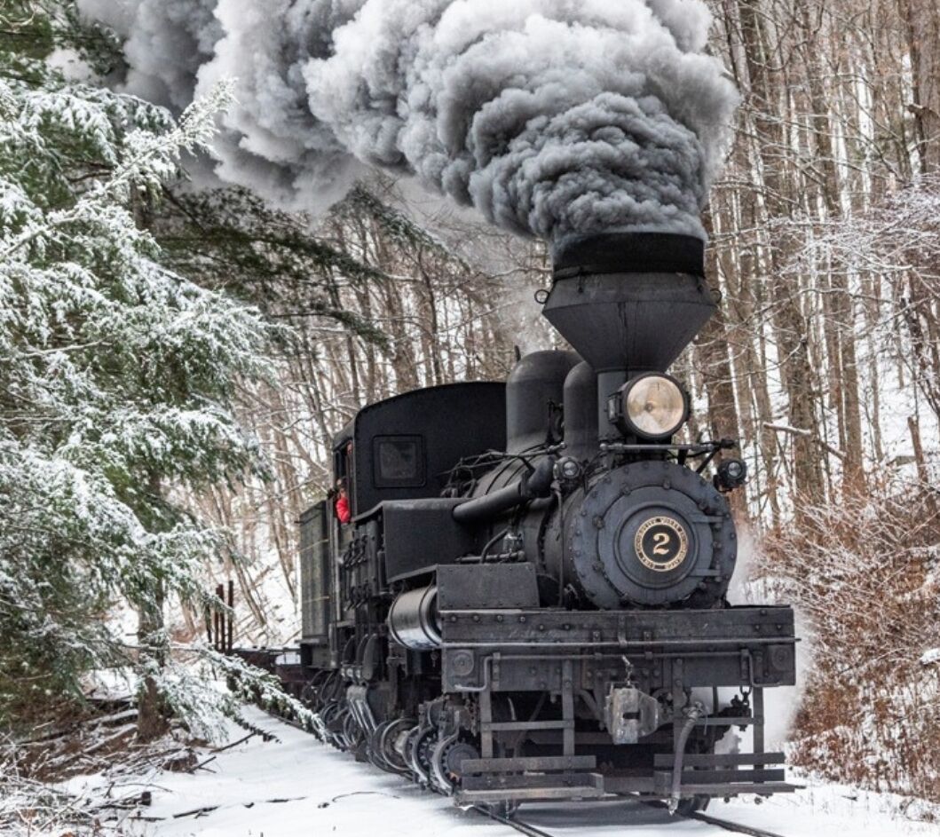A steam locomotive with a large chimney emitting smoke, traveling through a snowy forest.