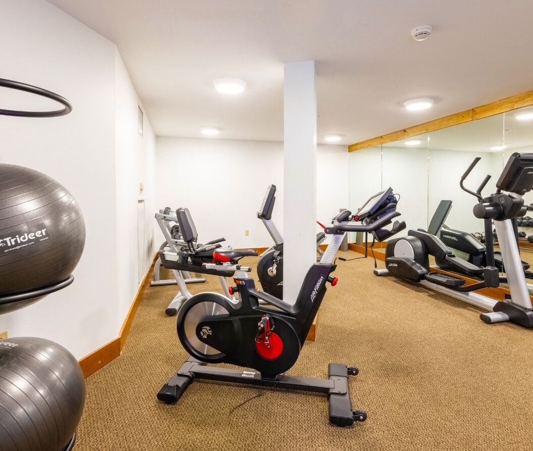 Una palestra con macchinari cardio, tra cui un ellittica Trideer e una cyclette, oltre a palle per esercizi.