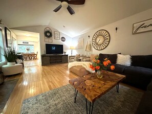 Smart TV, fireplace, DVD player, video library