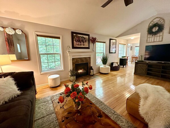 Smart TV, fireplace, DVD player, video library