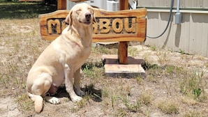 A wooden sign with the name "MARLEY'S" and "MARLEY'S BOU" mounted on a post.