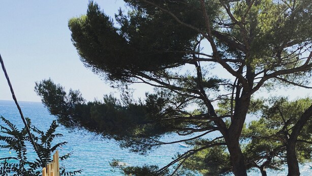 A wooden deck with a bench and a planter, overlooking a body of water and trees. - Cabanon Moderne, les Pieds Dans L'eau (Le Pradet)