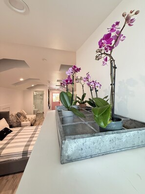 1 bedroom, iron/ironing board, WiFi, bed sheets - Treetop Studio Downtown Napa❤️ Modern Remodel of Vintage Home 🏡 GORGEOUS 🍷 (Napa)