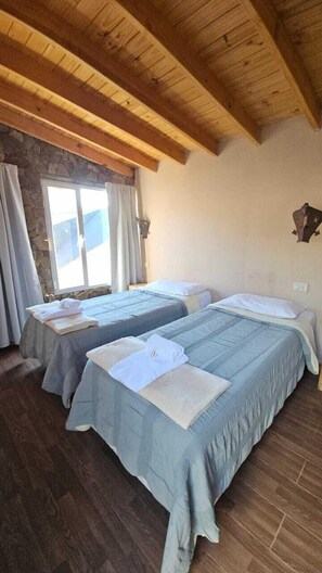 Chambre Économique Double ou avec lits jumeaux, vue montagne