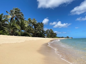 A beach with clear blue water, sandy shore, and palm trees. - North Shore Country Getaway- steps to the ocean (Waialua)