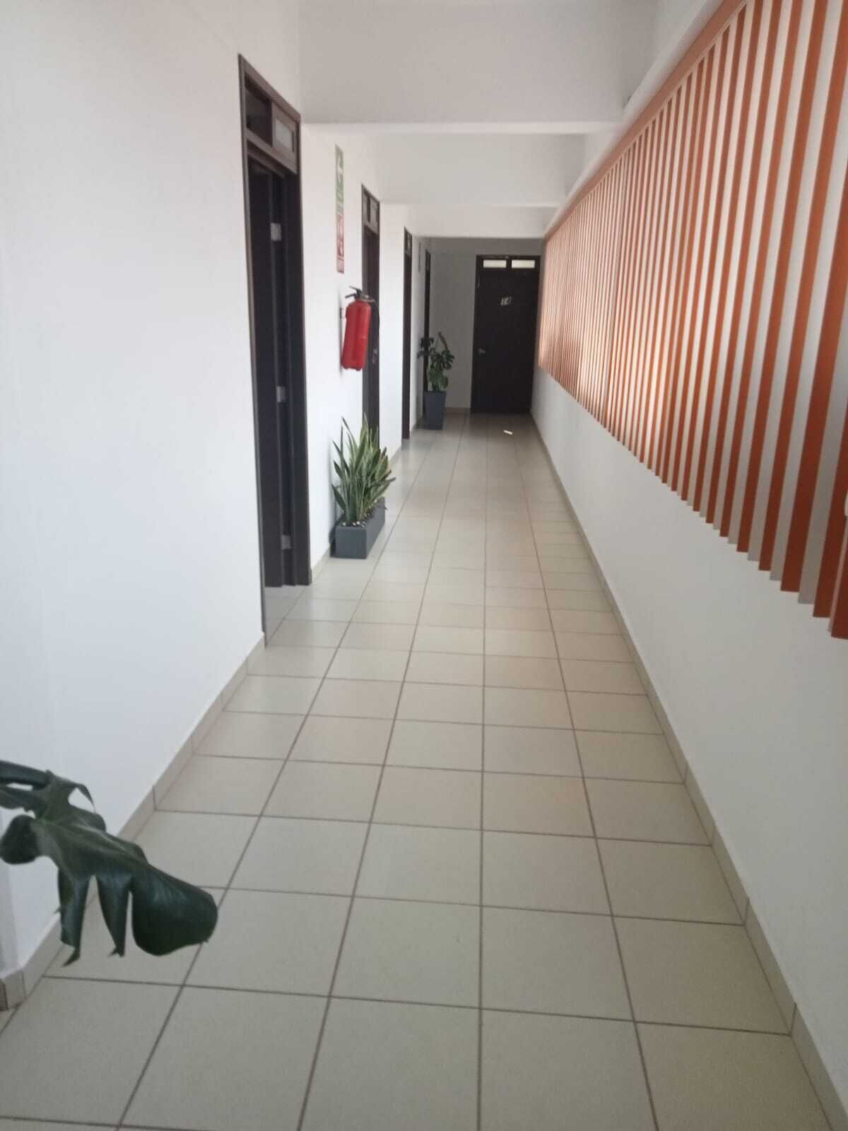 A corridor with tiled flooring, potted plants, and a fire extinguisher on the wall.