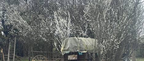 المنطقة المحيطة بالمنشأة