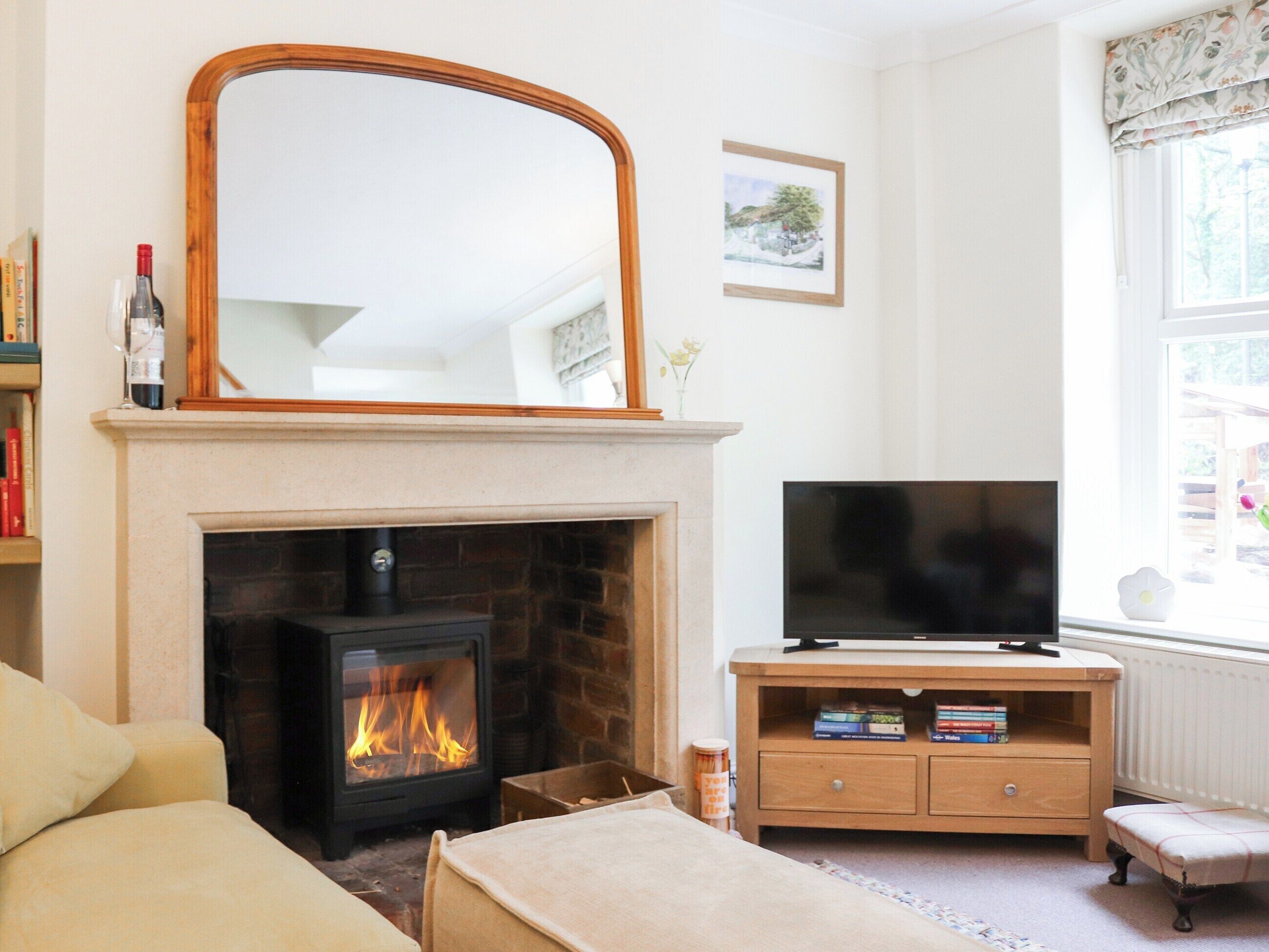 TV, fireplace
