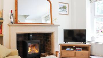 TV, fireplace
