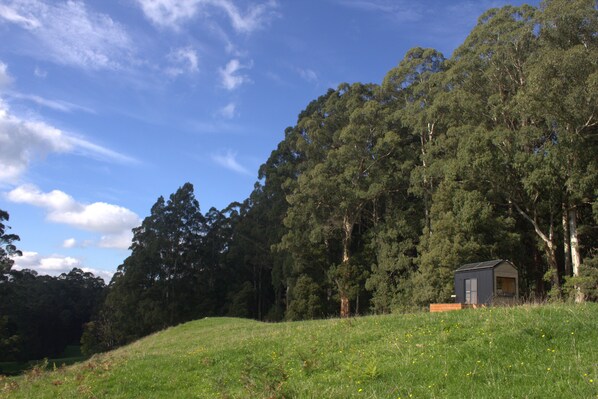 A small, single-story building with a sloped roof, surrounded by dense green trees and a grassy field.
