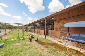 Property grounds - The Ranchette- Sleeps 10- 13 Miles From Texas A&M- Country Life  (Bryan)