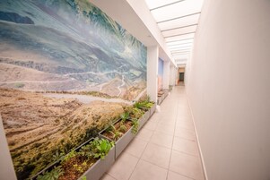 Apartamento, 1 cama de matrimonio grande, vistas al patio | Zona de estar | Smart TV de 50 pulgadas con canales por cable