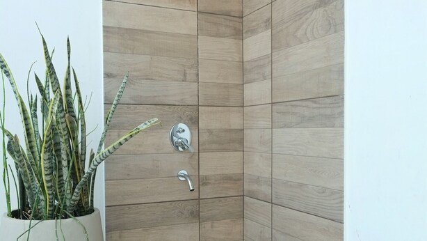 Un espace douche moderne avec un revêtement mural en bois, une plante en pot et un pommeau de douche.