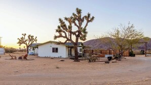 A desert house with a single-story structure, a patio with chairs, and a large tree in the yard. - The Creosote Cottage| A Luxury Desert Escape (Landers)