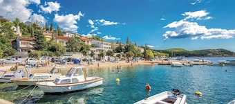 Huisdiervriendelijk appartement in.