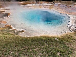 Pool - Powder Pad in Driggs, ID (Driggs)