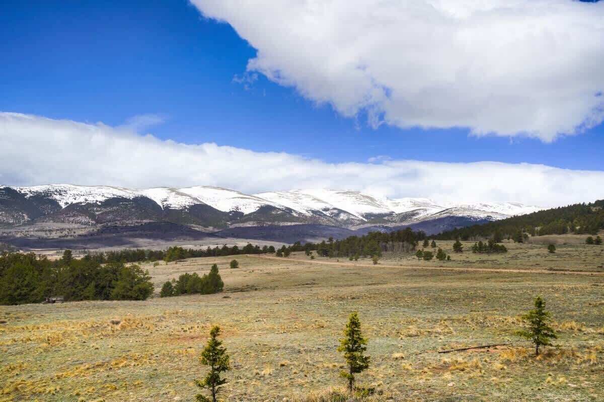 A mountainous landscape with snow-capped peaks, a clear sky, and a field with sparse vegetation.