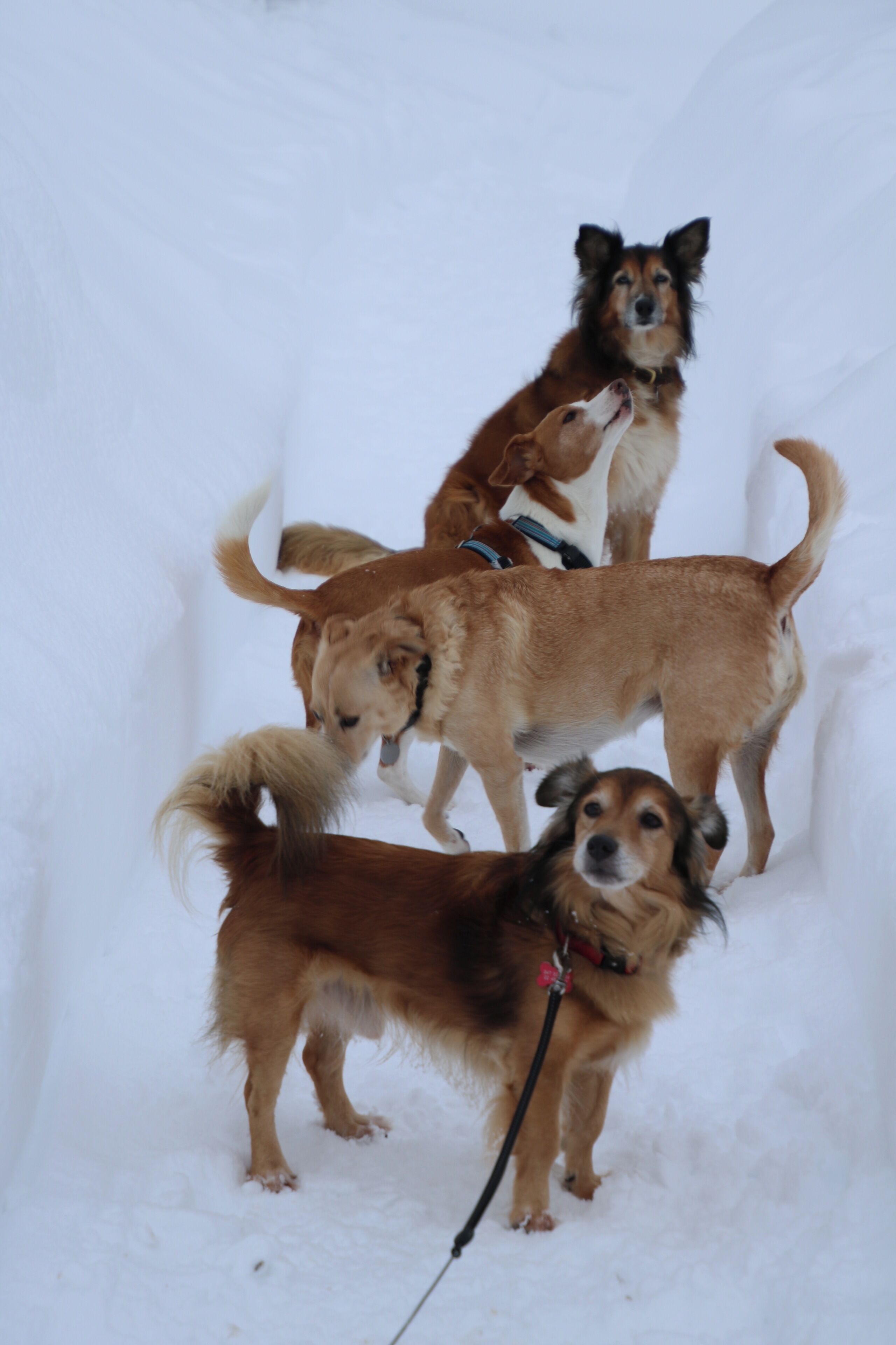 Foto - "BnB NOTO" - Charming Guest House