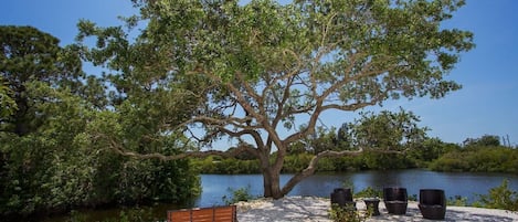 Eine Bank und eine Sitzgelegenheit im Freien am See mit einem großen Baum.