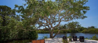 Tropical Waterfront Oasis - Super Cute Home with your own Fishing Dock
