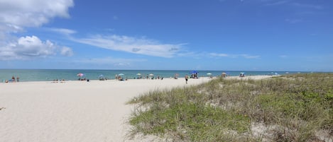 Plage à proximité