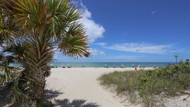 Una playa con una palmera en primer plano, un sendero arenoso que lleva al agua y gente relajándose en la playa.