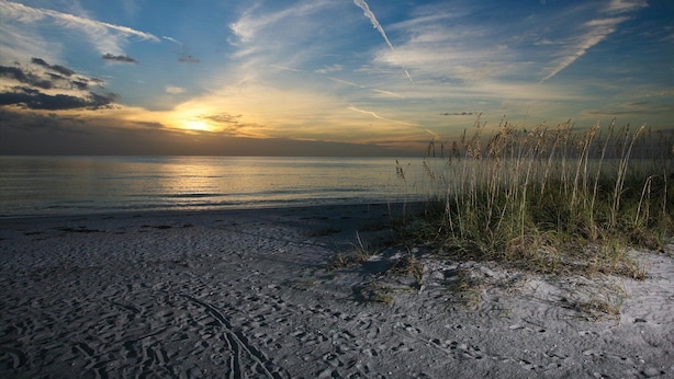 Nær stranden