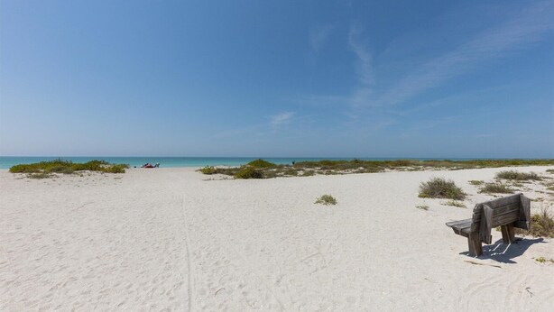 Ein Sandstrand mit einer Holzbank und spärlicher Vegetation.