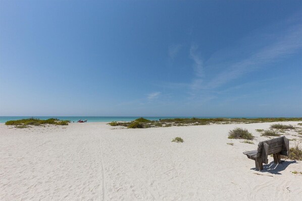 Ein Sandstrand mit einer Holzbank und spärlicher Vegetation.