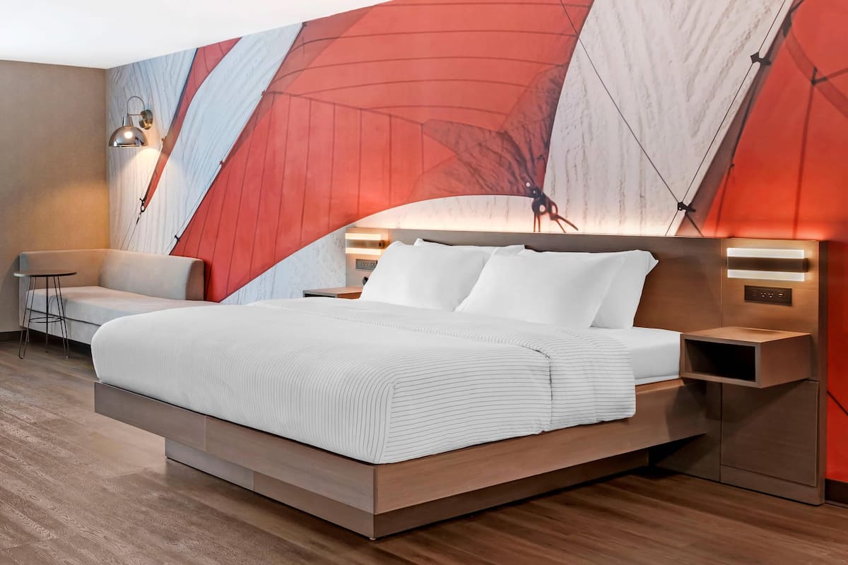 Suite, 1 kingsize bed, toegankelijk voor slechthorenden, niet-roken (Mobility) | Een laptopwerkplek, een strijkplank/strijkijzer, gratis wifi, beddengoed