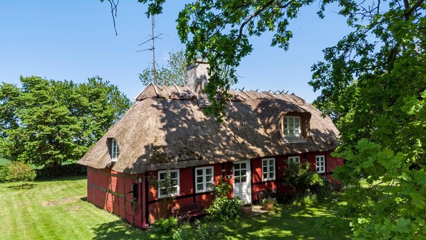 A traditional red house with a thatched roof, surrounded by lush greenery. - 4 bedroom gorgeous home in Rødby (Rødby)