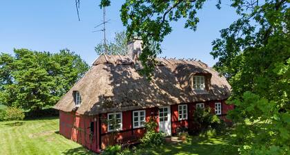 4 bedroom gorgeous home in Rødby