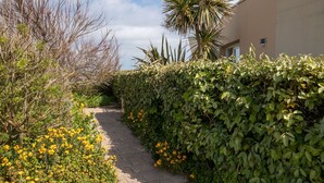 A pathway flanked by dense foliage and yellow flowers, leading to a building with a beige facade. - Les Pieds dans l'eau by Interhome (Cléder)