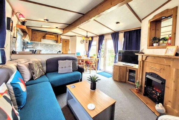 TV, fireplace, DVD player, books