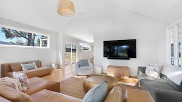 Smart TV, fireplace, books