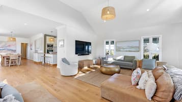 Smart TV, fireplace, books