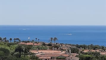 Vista aérea