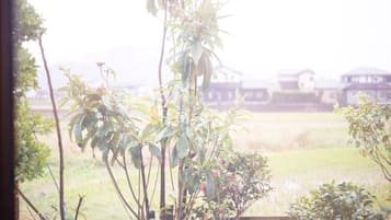 外观细节