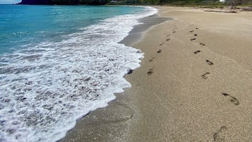 Plage à proximité, chaises longues, serviettes de plage