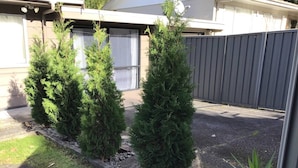 Patio residencial con tres árboles de hoja perenne, un sendero de grava y una planta en maceta.