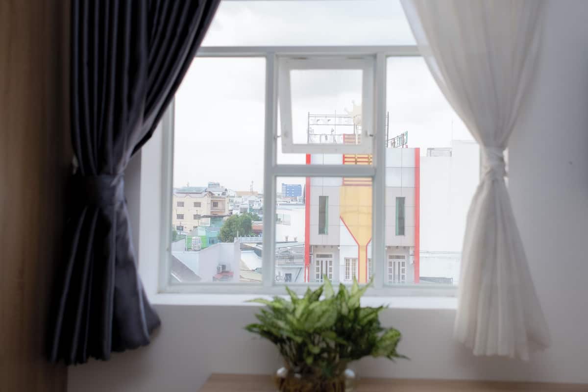 A room with a window overlooking a cityscape, a plant on a table, and curtains on the window.
