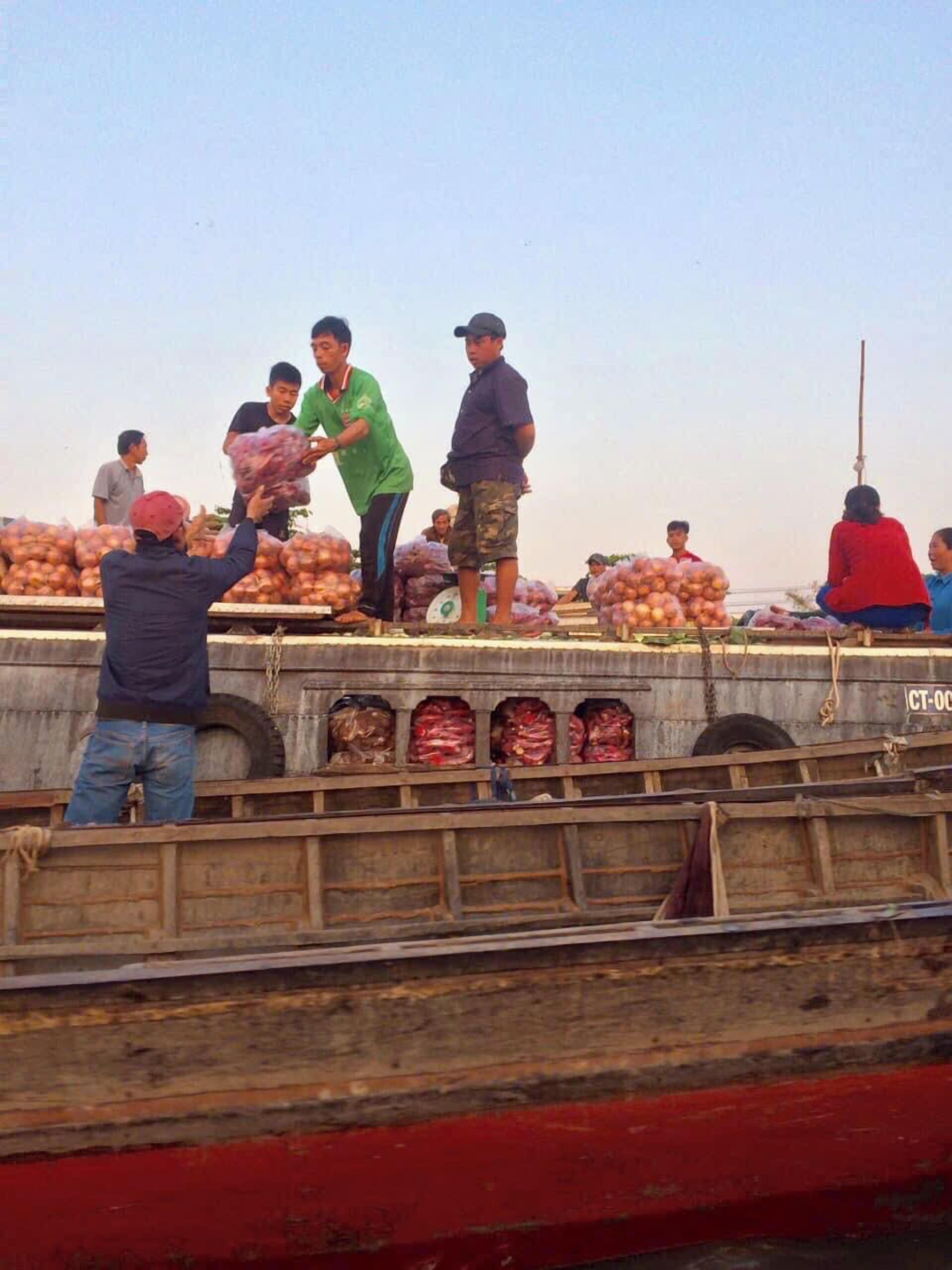A group of people loading onions onto a truck.
