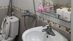 Une salle de bain équipée d’un WC, d’un lavabo et d’une douche. Un miroir se trouve au-dessus du lavabo, et une étagère contient des articles de toilette.